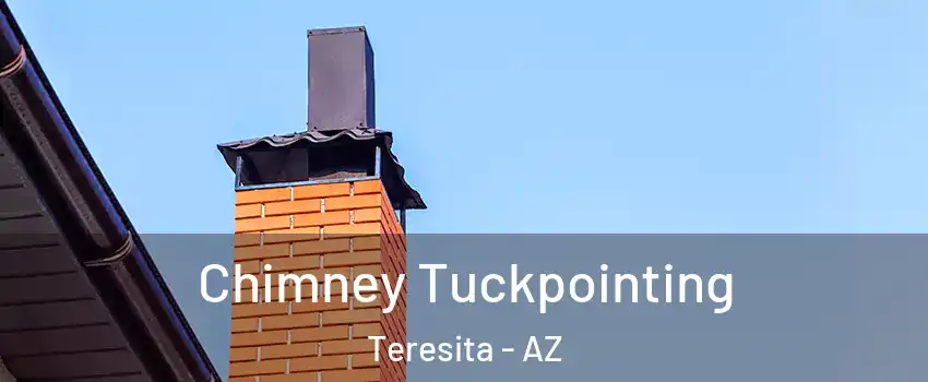 Chimney Tuckpointing Teresita - AZ