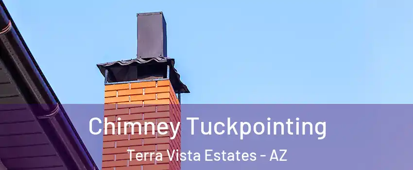 Chimney Tuckpointing Terra Vista Estates - AZ