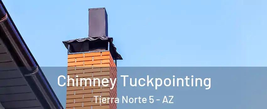 Chimney Tuckpointing Tierra Norte 5 - AZ