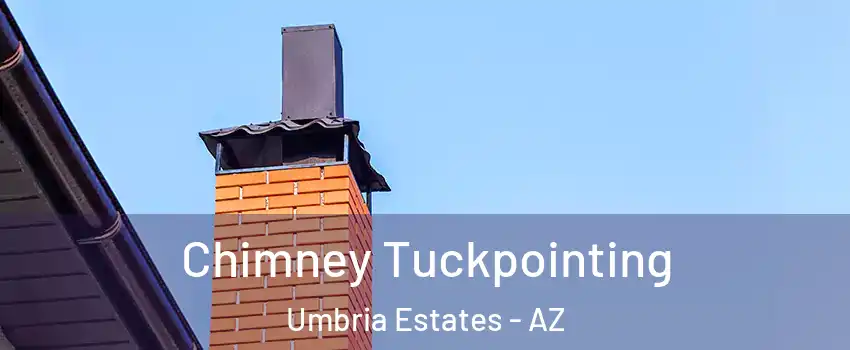 Chimney Tuckpointing Umbria Estates - AZ