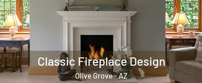 Classic Fireplace Design Olive Grove - AZ