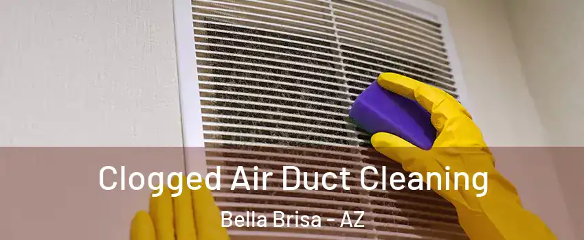 Clogged Air Duct Cleaning Bella Brisa - AZ