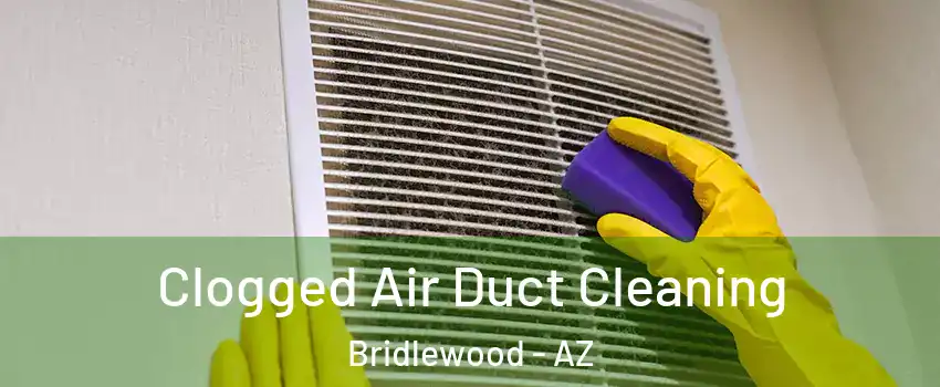 Clogged Air Duct Cleaning Bridlewood - AZ