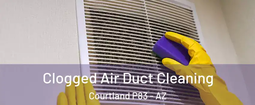 Clogged Air Duct Cleaning Courtland P83 - AZ