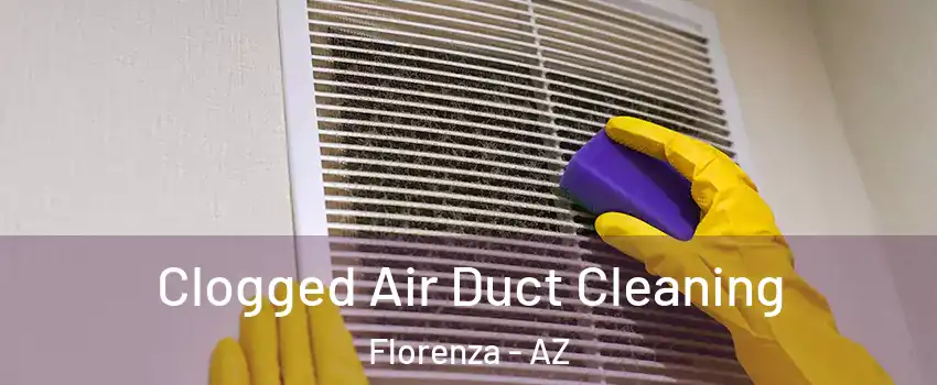 Clogged Air Duct Cleaning Florenza - AZ