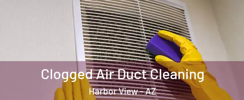 Clogged Air Duct Cleaning Harbor View - AZ