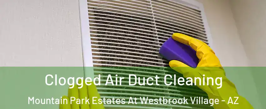 Clogged Air Duct Cleaning Mountain Park Estates At Westbrook Village - AZ