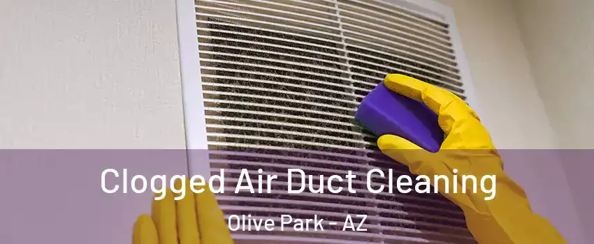 Clogged Air Duct Cleaning Olive Park - AZ