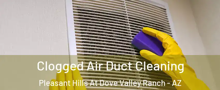 Clogged Air Duct Cleaning Pleasant Hills At Dove Valley Ranch - AZ