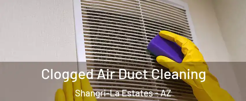 Clogged Air Duct Cleaning Shangri-La Estates - AZ