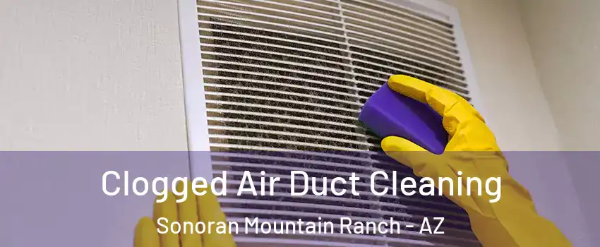 Clogged Air Duct Cleaning Sonoran Mountain Ranch - AZ