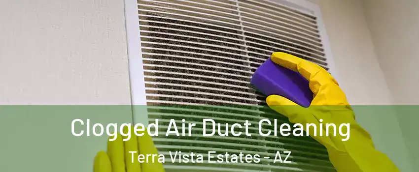 Clogged Air Duct Cleaning Terra Vista Estates - AZ