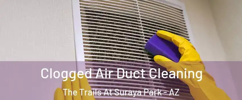 Clogged Air Duct Cleaning The Trails At Suraya Park - AZ