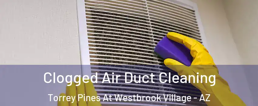 Clogged Air Duct Cleaning Torrey Pines At Westbrook Village - AZ