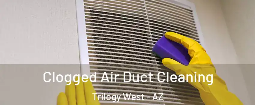 Clogged Air Duct Cleaning Trilogy West - AZ