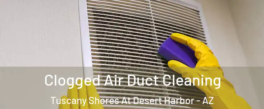 Clogged Air Duct Cleaning Tuscany Shores At Desert Harbor - AZ