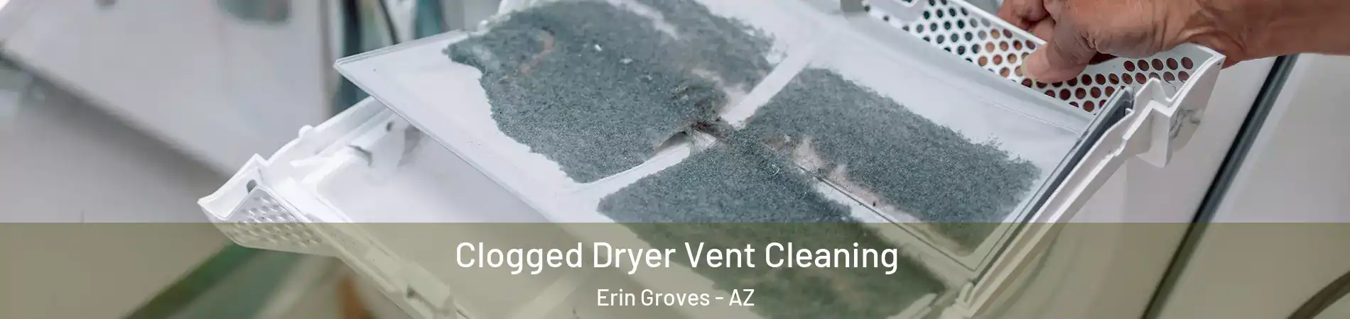 Clogged Dryer Vent Cleaning Erin Groves - AZ