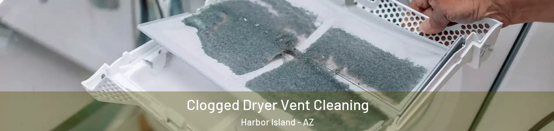 Clogged Dryer Vent Cleaning Harbor Island - AZ