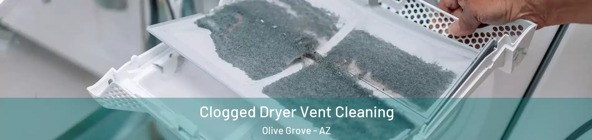 Clogged Dryer Vent Cleaning Olive Grove - AZ