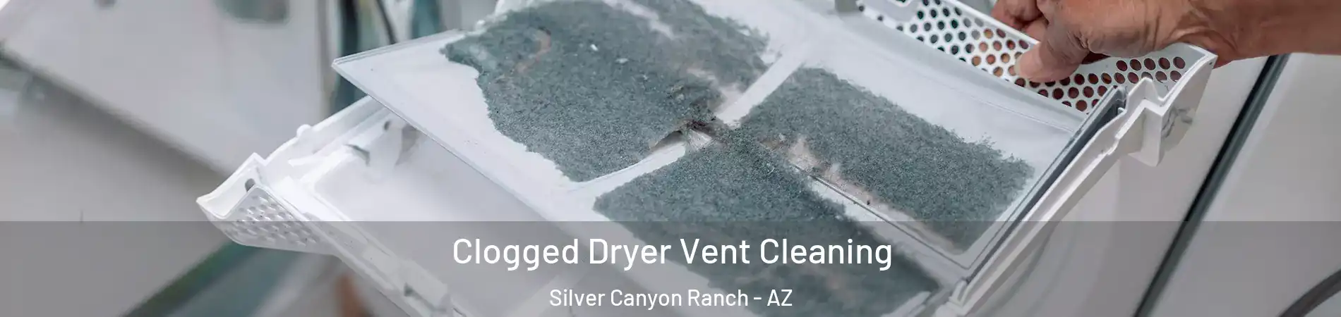 Clogged Dryer Vent Cleaning Silver Canyon Ranch - AZ
