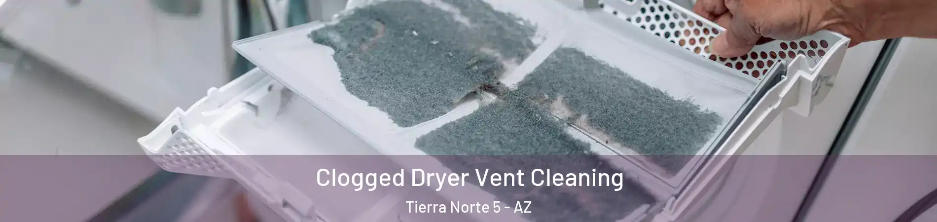 Clogged Dryer Vent Cleaning Tierra Norte 5 - AZ