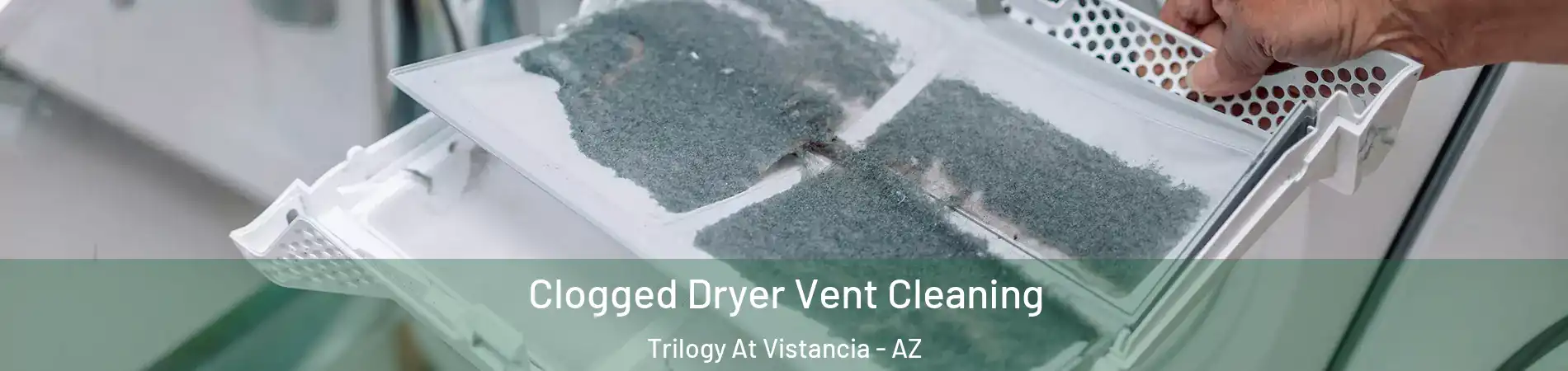 Clogged Dryer Vent Cleaning Trilogy At Vistancia - AZ