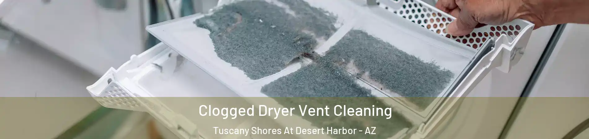 Clogged Dryer Vent Cleaning Tuscany Shores At Desert Harbor - AZ