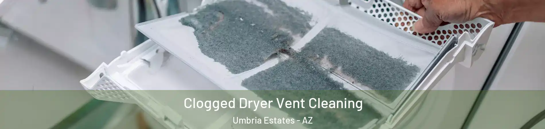 Clogged Dryer Vent Cleaning Umbria Estates - AZ