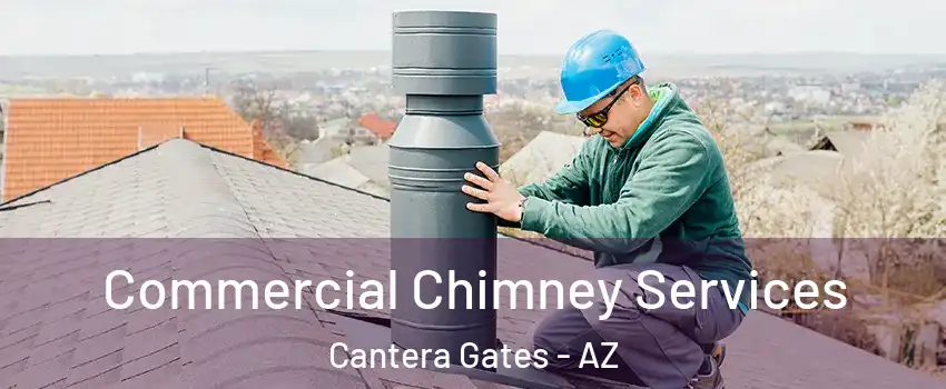 Commercial Chimney Services Cantera Gates - AZ