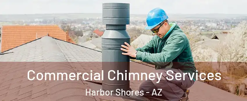 Commercial Chimney Services Harbor Shores - AZ