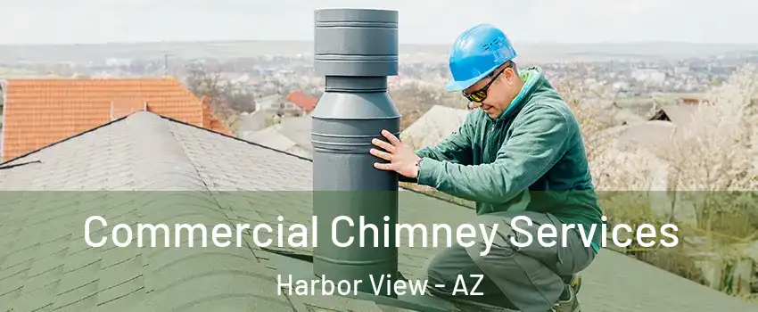 Commercial Chimney Services Harbor View - AZ