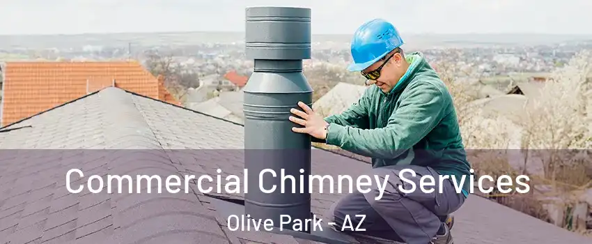 Commercial Chimney Services Olive Park - AZ