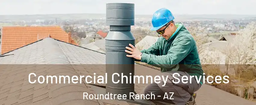 Commercial Chimney Services Roundtree Ranch - AZ