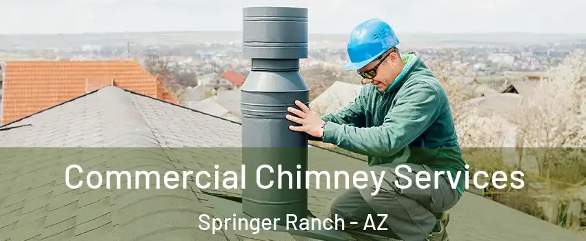 Commercial Chimney Services Springer Ranch - AZ