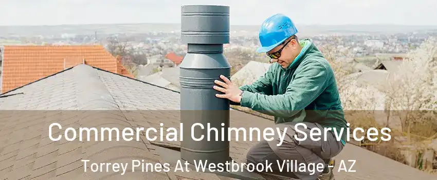 Commercial Chimney Services Torrey Pines At Westbrook Village - AZ