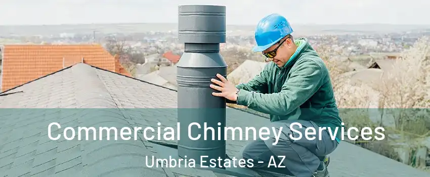 Commercial Chimney Services Umbria Estates - AZ