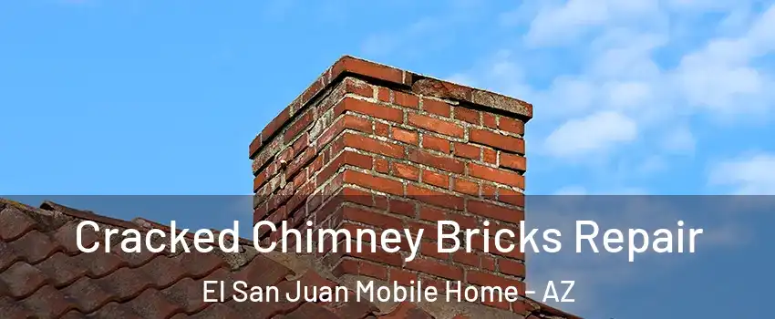 Cracked Chimney Bricks Repair El San Juan Mobile Home - AZ