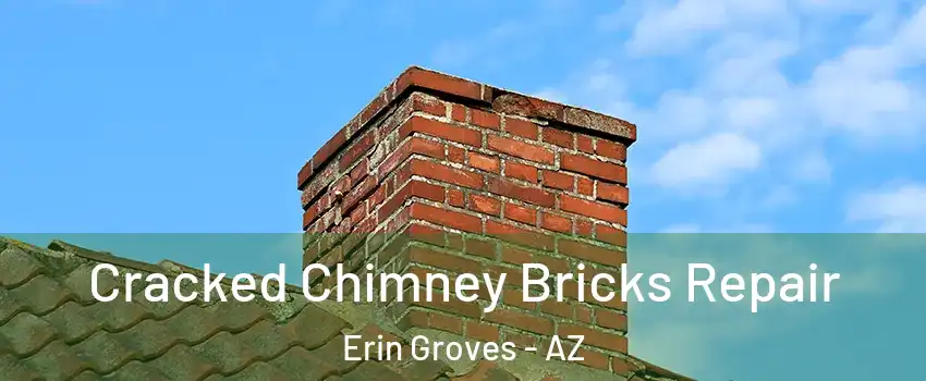 Cracked Chimney Bricks Repair Erin Groves - AZ