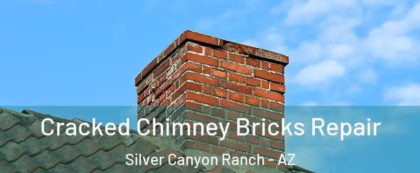 Cracked Chimney Bricks Repair Silver Canyon Ranch - AZ