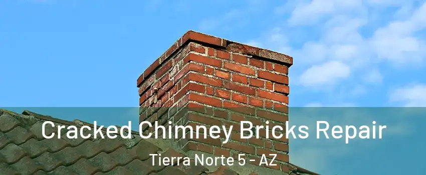 Cracked Chimney Bricks Repair Tierra Norte 5 - AZ