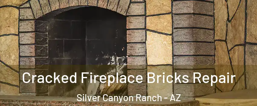 Cracked Fireplace Bricks Repair Silver Canyon Ranch - AZ