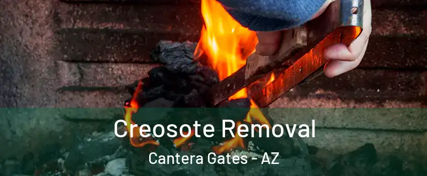 Creosote Removal Cantera Gates - AZ