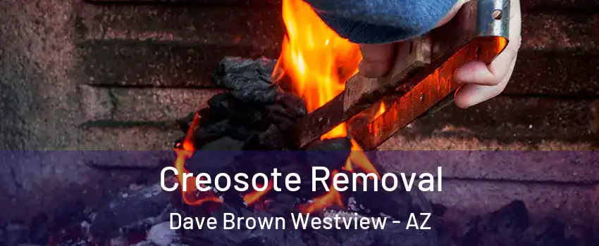 Creosote Removal Dave Brown Westview - AZ