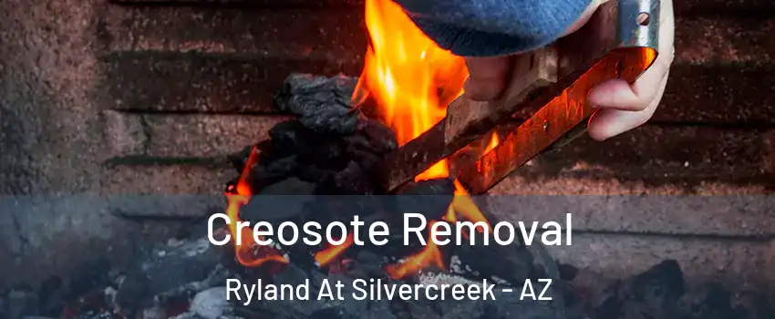 Creosote Removal Ryland At Silvercreek - AZ