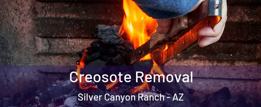 Creosote Removal Silver Canyon Ranch - AZ