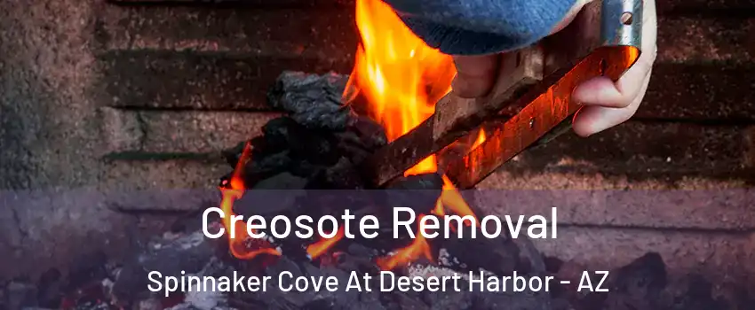 Creosote Removal Spinnaker Cove At Desert Harbor - AZ