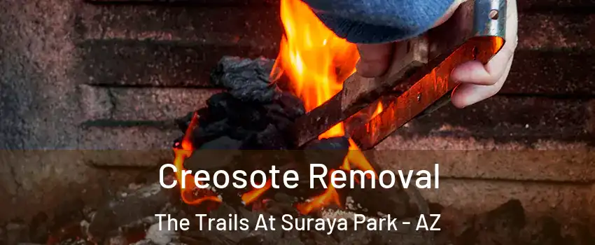 Creosote Removal The Trails At Suraya Park - AZ
