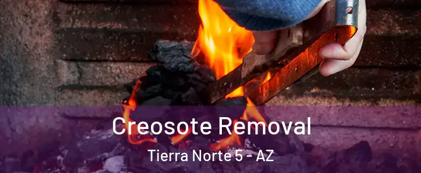 Creosote Removal Tierra Norte 5 - AZ