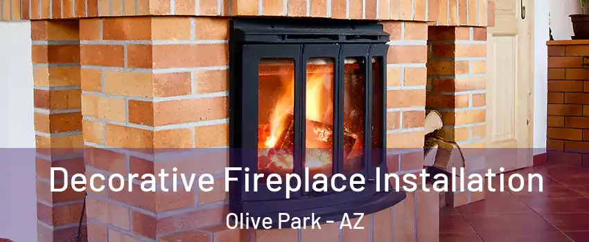 Decorative Fireplace Installation Olive Park - AZ