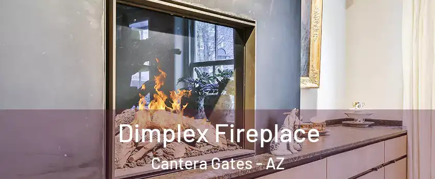 Dimplex Fireplace Cantera Gates - AZ